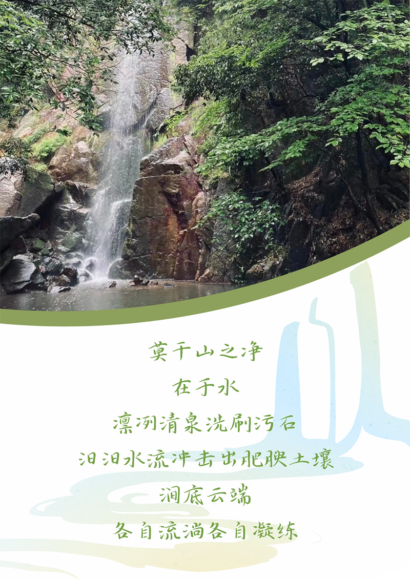 心心念廿 相伴东方国际 | 与德清相约 贺廿载诞辰