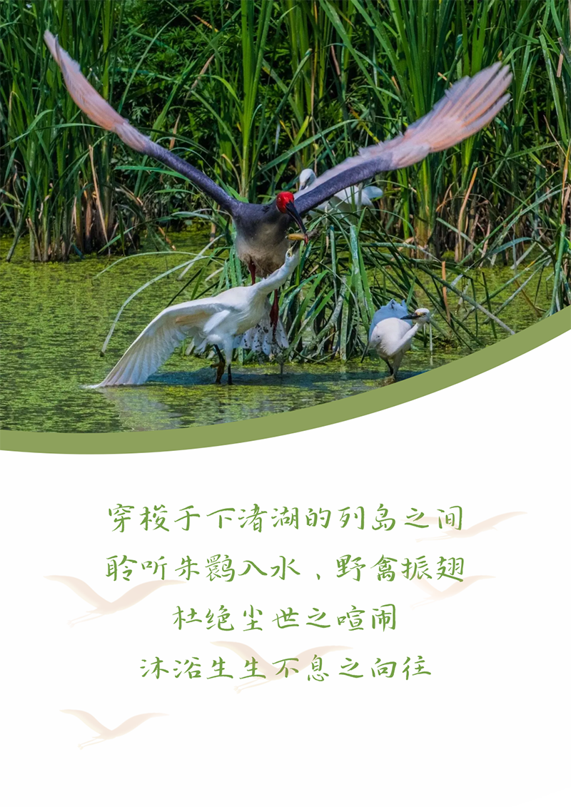 心心念廿 相伴东方国际 | 与德清相约 贺廿载诞辰